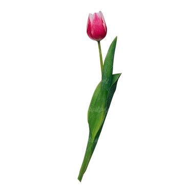شاخه گل گلفروشی گالری گل و گیاه