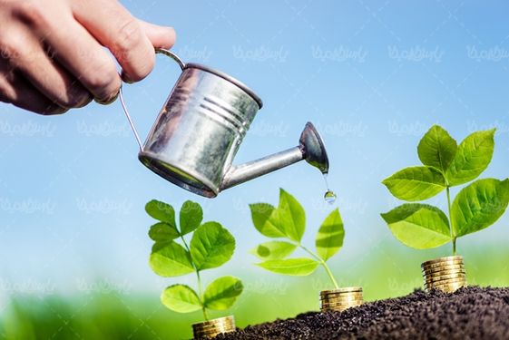 سکه خاک جوانه گیاه سرمایه گذاری
