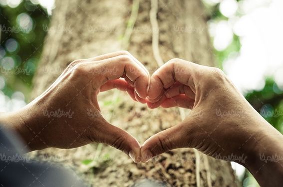 قلب love  عشق دوست داشتن