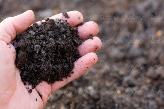 خاک حاصلخیز زمین کشاورزی