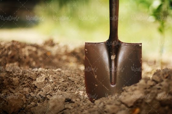 خاک حاصلخیز زمین کشاورزی