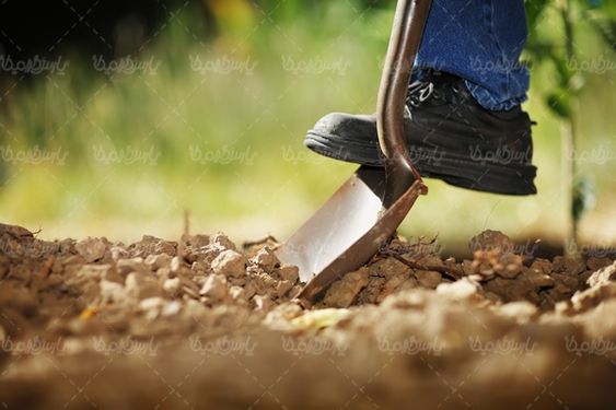 خاک حاصلخیز زمین کشاورزی