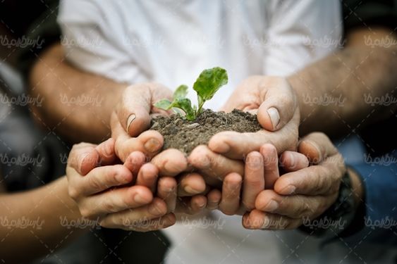 خاک کشت و کار خاک حاصلخیز