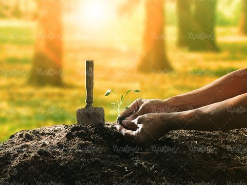 خاک حاصلخیز زمین کشاورزی