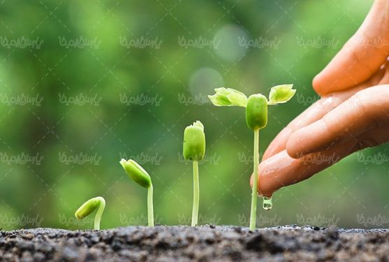 خاک حاصلخیز زمین کشاورزی
