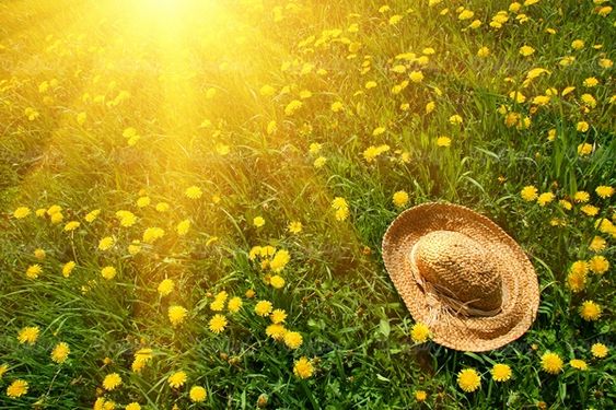 منظره چشم انداز طبیعت تابش نور خورشید