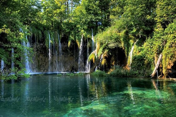 آبشار رودخانه چشم انداز درخت تابستان