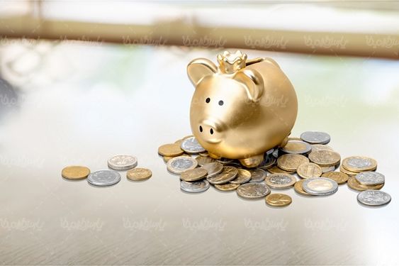 قلک پول عروسکی قلک خوکی