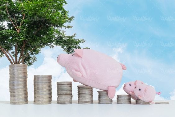 قلک پول عروسکی قلک خوکی