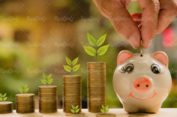 قلک پول عروسکی قلک خوکی