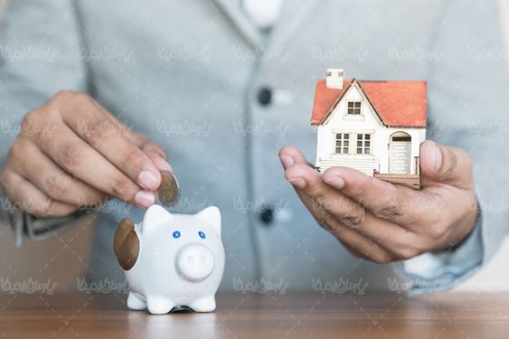 قلک پول عروسکی قلک خوکی