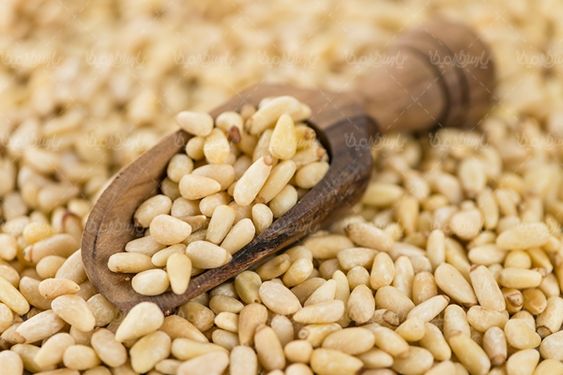 آجیل فروشی خشکبار بادام زمینی