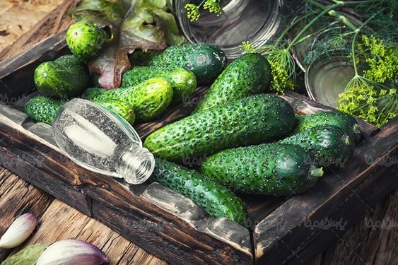 میوه فروشی خیار سوپر میوه خیارشور