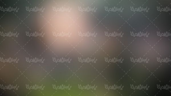 بک گراند محو پس زمینه محو
