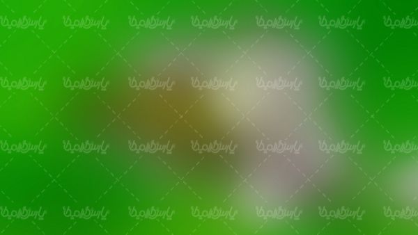 بک گراند محو پس زمینه محو
