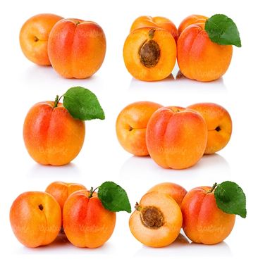 میوه فروشی سوپر میوه میوه سرا