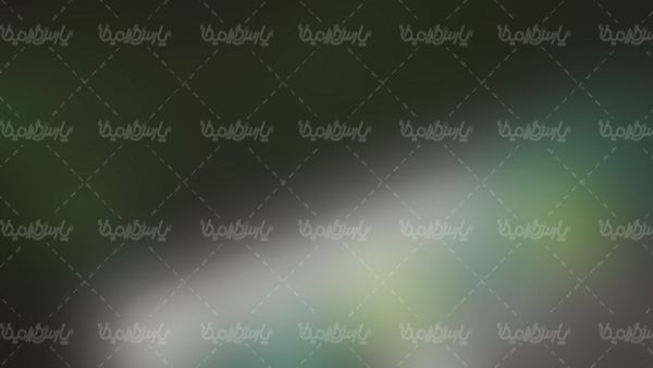 بک گراند محو پس زمینه محو