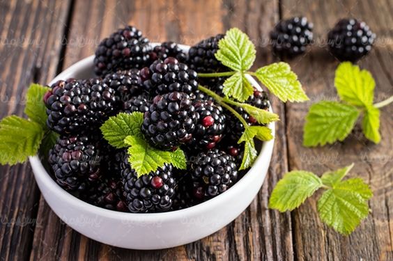 میوه فروشی سوپر میوه میوه سرا