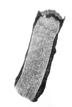 گرانج ترام تکستچر