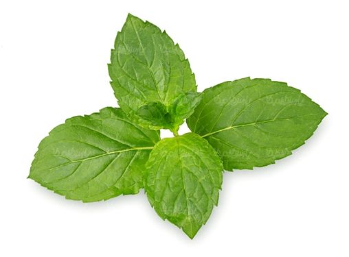 سبزیجات سبزی فروشی