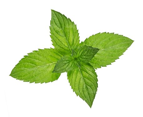 سبزیجات سبزی فروشی