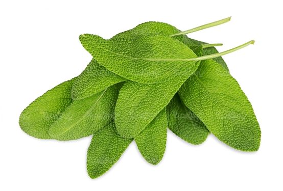 سبزیجات سبزی فروشی