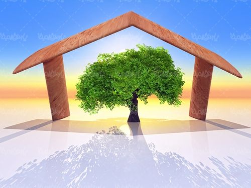درخت منابع سبز حفاظت از محیط زیست