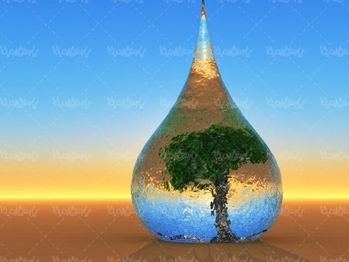 درخت منابع سبز حفاظت از محیط زیست