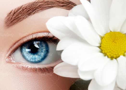 آرایش چشم سالن زیبایی