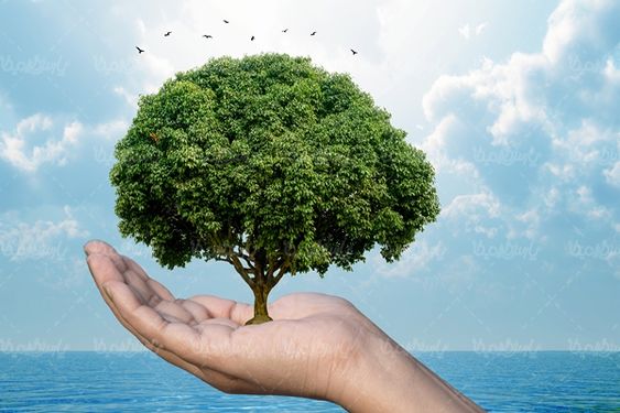 ECO اکولوژی بوم شناسی