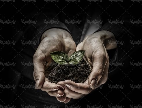 ECO اکولوژی بوم شناسی