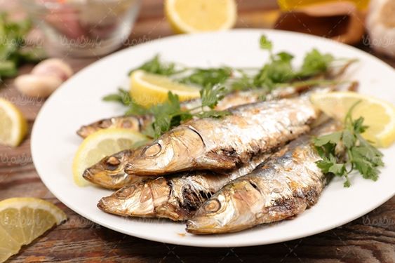 رستوران آشپزخانه تهیه غذا ماهی