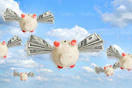 پول دلار اسکناس قلک پس انداز