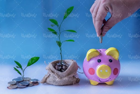 پول دلار اسکناس قلک پس انداز