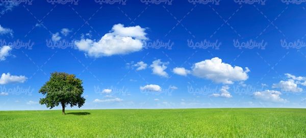 منظره چشم انداز بهار آسمان آبی