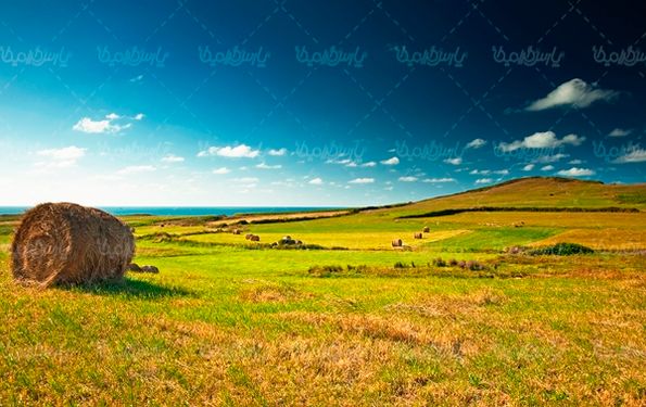 منظره چشم انداز  مزرعه طبیعت