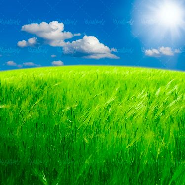 منظره چشم انداز  مزرعه طبیعت