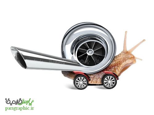 تصویر دوربری حلزون