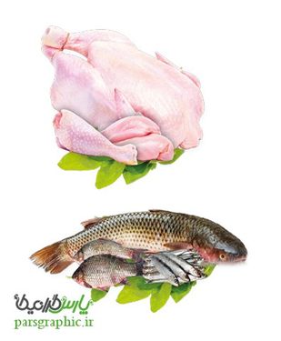 تصویر دوربری مرغ و ماهی