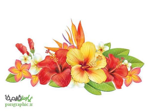 تصویر دوربری  گل