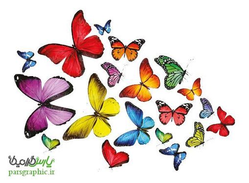 تصویر دوربری پروانه رنگی