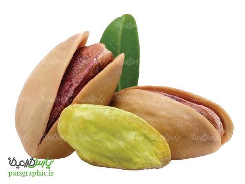 تصویر دوربری شده پسته