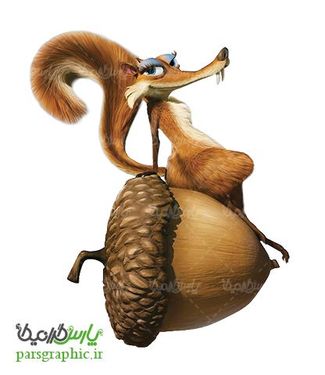 تصویر دوربری شده میوه بلوط