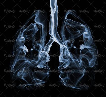 آناتومی بدن انسان شش ریه تنفسی بدن دود شش شکل