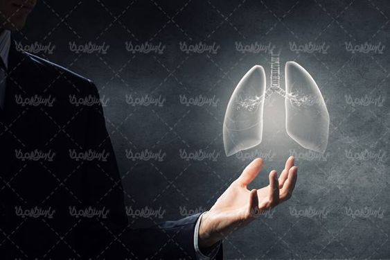دستگاه تنفسی بدن شش ریه سه بعدی1