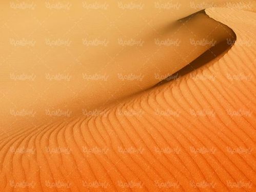 صحرا کویر  بیابان شن روران شن زار تپه شنی