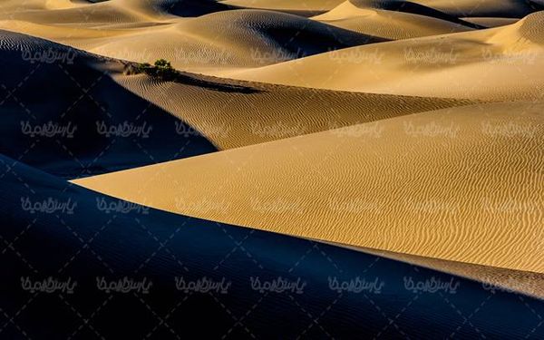 صحرا کویر  بیابان شن روران شن زار تپه شنی5