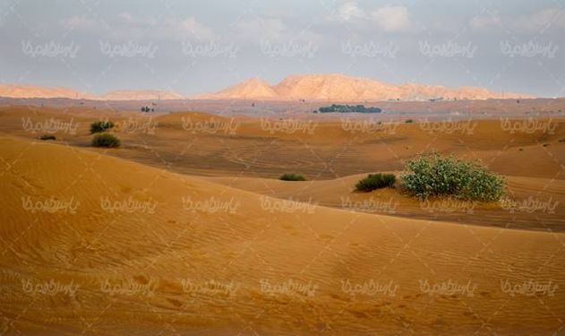 صحرا کویر  بیابان شن روران شن زار تپه شنی8