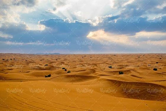 صحرا کویر  بیابان شن روران شن زار تپه شنی9