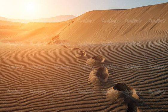 صحرا کویر  بیابان شن روران شن زار تپه شنی11